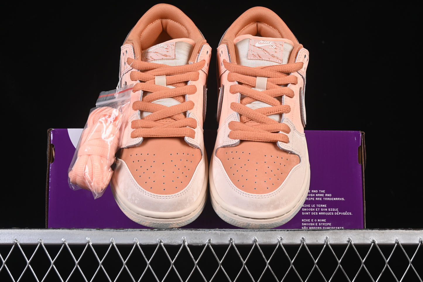 Nike Dunk “Trocadero Gardens”